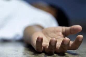 Body of woman found in Kujrum Forest, suspected elephant attack in Latehar