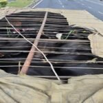 Giridih police officers standing next to a truck loaded with seized cattle.