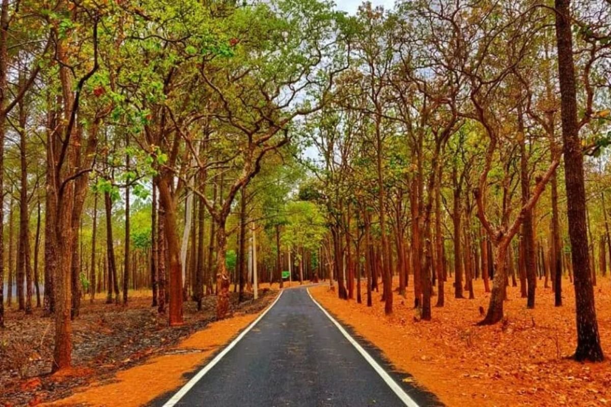 Netarhat: A Hidden Gem in Jharkhand | Netarhat Hill Station | Queen of Chotanagpur