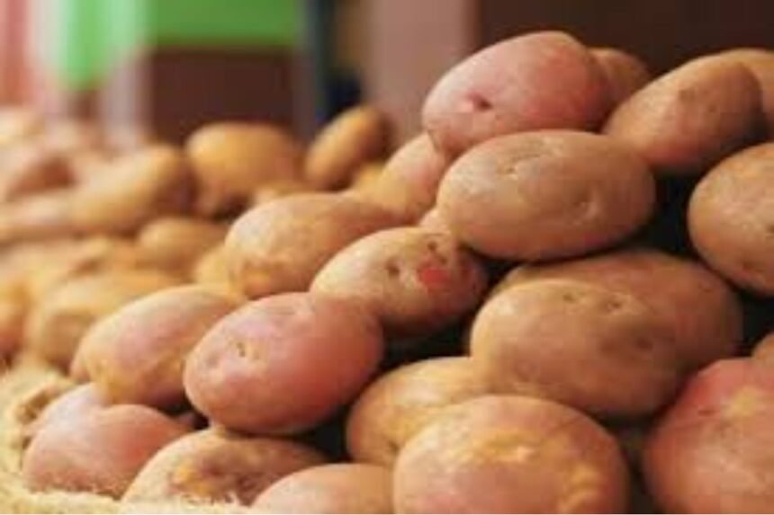 Trucks loaded with potatoes stopped at the Bengal-Jharkhand border amidst a political and economic dispute over supply.