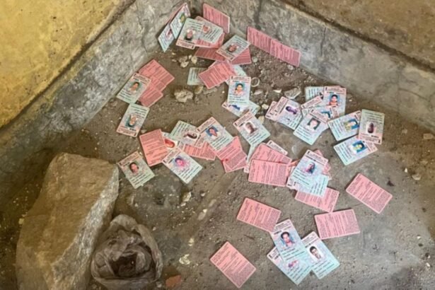 Dumped voter cards and Ujjwala scheme forms found in Bundu, Ranchi, ahead of Jharkhand Assembly Elections 2024.