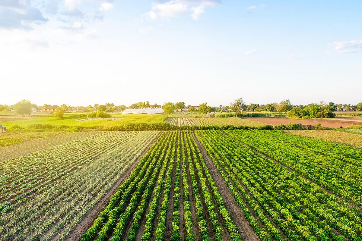 Jharkhand News: Jharkhand to Receive ₹1060 Crore for Land Reforms, ₹600 Crore Allocated for Land Surveys