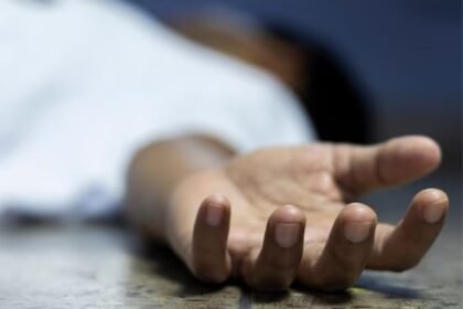 Body of woman found in Kujrum Forest, suspected elephant attack in Latehar