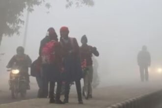 Jharkhand weather update: Cold wave, fog and temperature drop from January 30