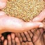 Jharkhand ration cardholders facing food supply disruption due to e-KYC issues