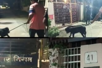 Software engineer found dead at his home in Adityapur, wife missing, police investigate