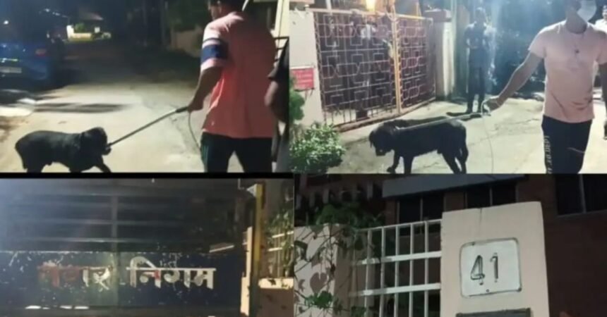 Software engineer found dead at his home in Adityapur, wife missing, police investigate