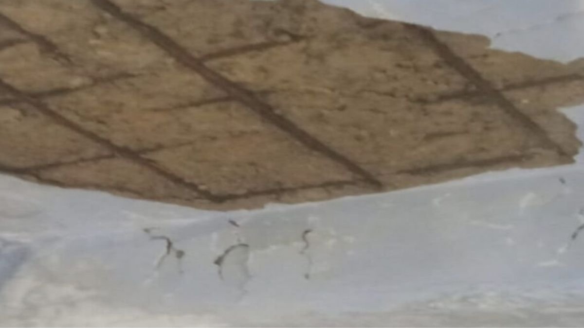 Chaibasa News: Dwarparam School Building in Dilapidated Condition, Falling Plaster Raises Safety Concerns