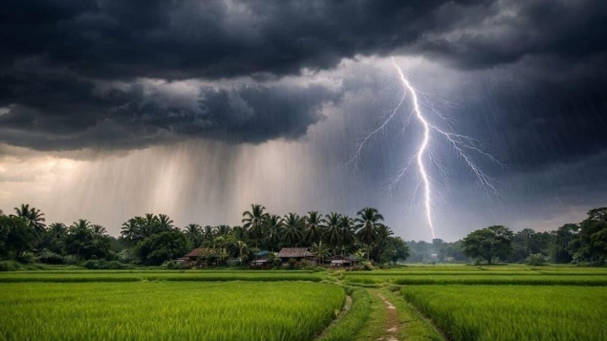Jharkhand Weather Alert: Heavy Rain Warning in 5 Districts, Lightning and Strong Winds Expected