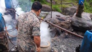 Police destroy Java Mahua during a crackdown on illegal liquor production in Ramgarh